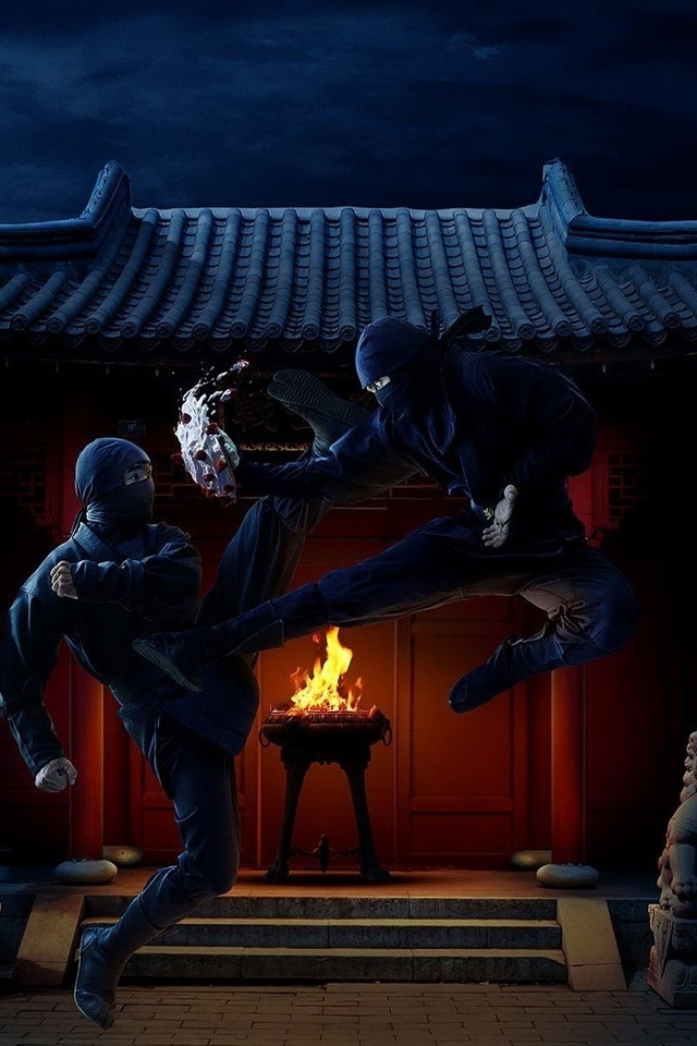 Shadow Fight 2 - Fight ninja in the night