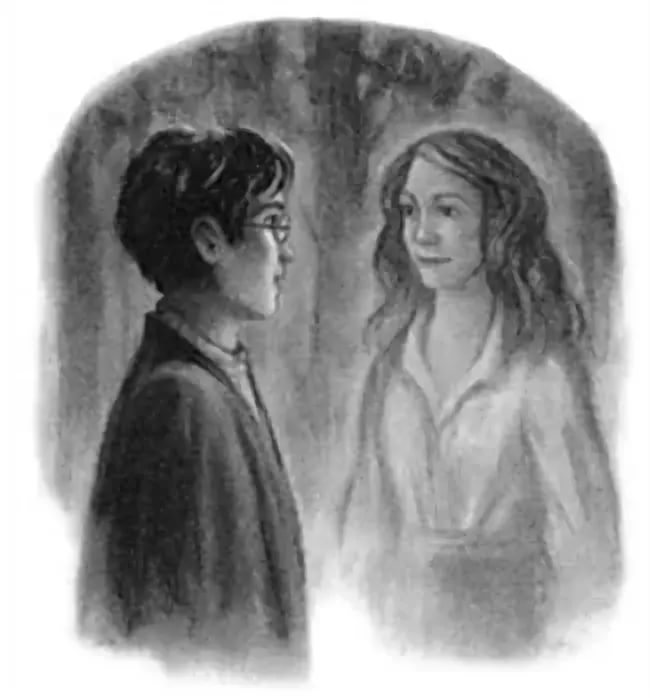 Гарри Поттер и Дары Смерти - Глава 34. Снова в лесу 2
