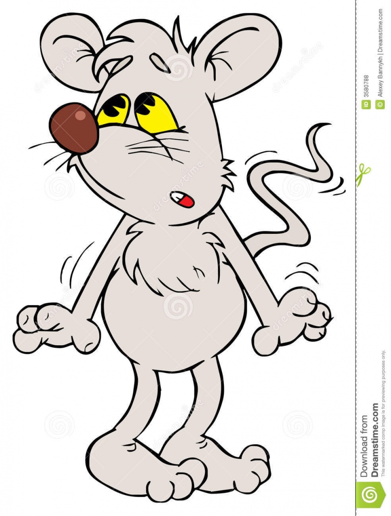 Grey mouse