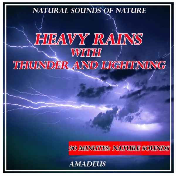 Heavy Rain with Thunder Sounds Part 39
