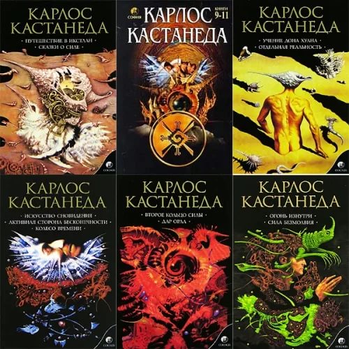 Карлос Кастанеда Книга 11