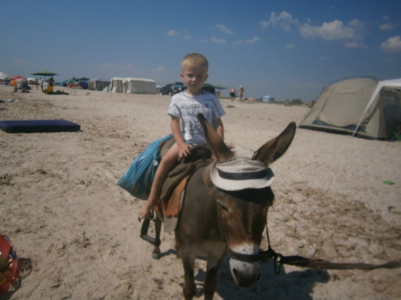 кавкаская пленица