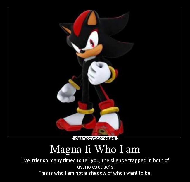 Who I Am Shadow the Hedgehog