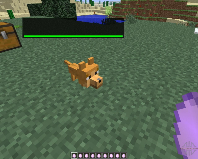 Minecraft - Cat-Dog