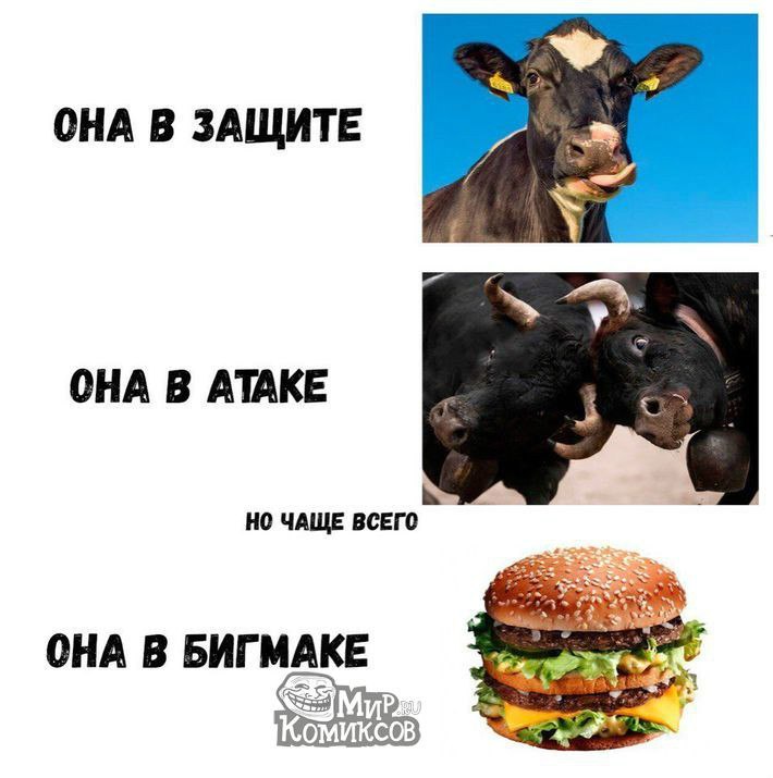 мир