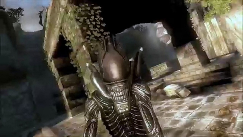 Музыка Aliens vs. Predator 2010 -  нажми сюда и увидишь слова песни 