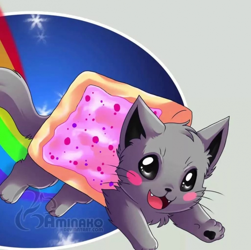 Nyan - Cat