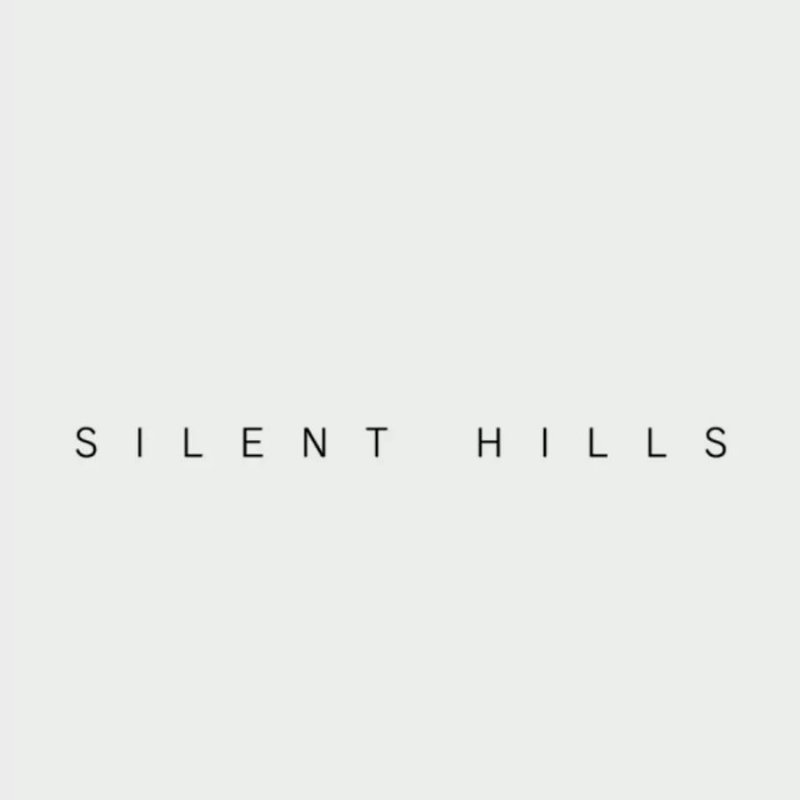 P.T. Silent Hills - Calm Panic