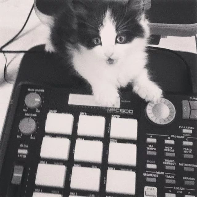 Пародия на "сегодня поиграю я в варкрафт" - Мой кот любит Hip-Hop