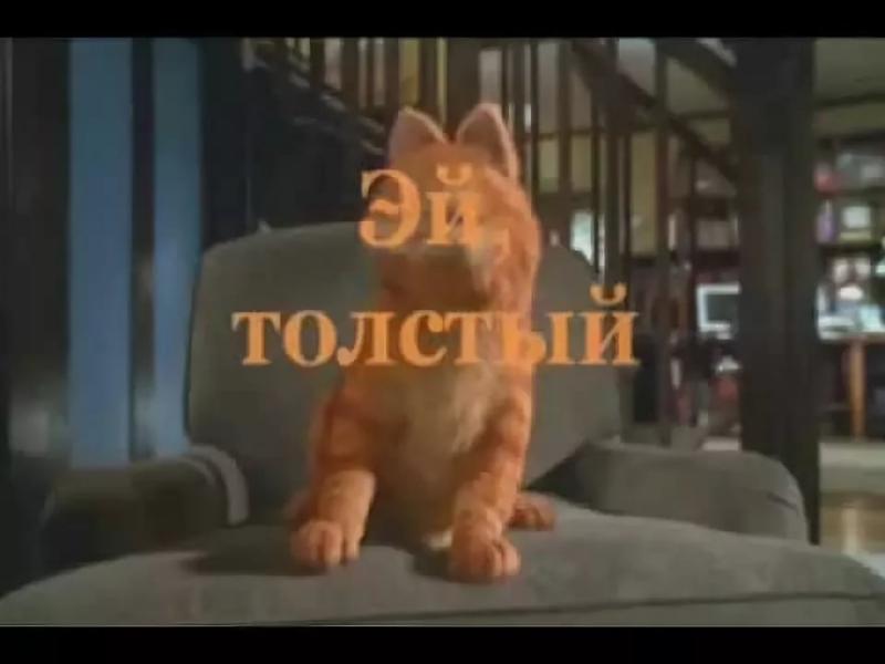 под эй толстый