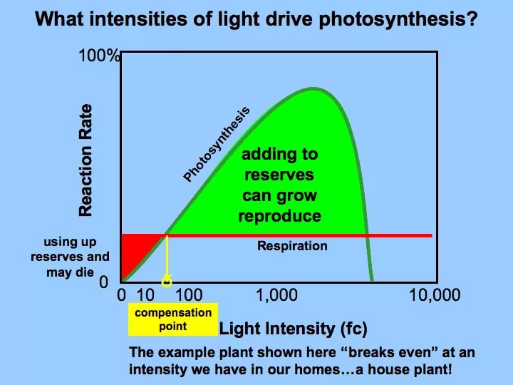 Point Intensity