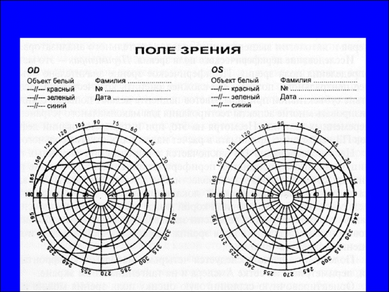 Поле Зрения