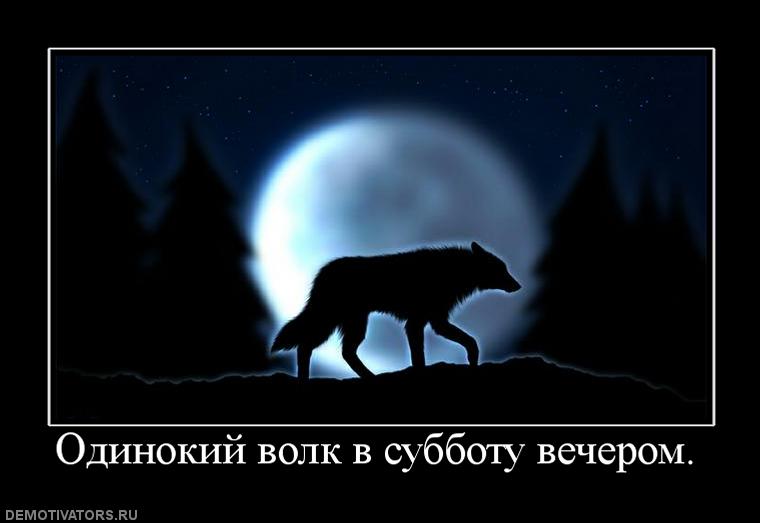 Про волков - Одинокий волк