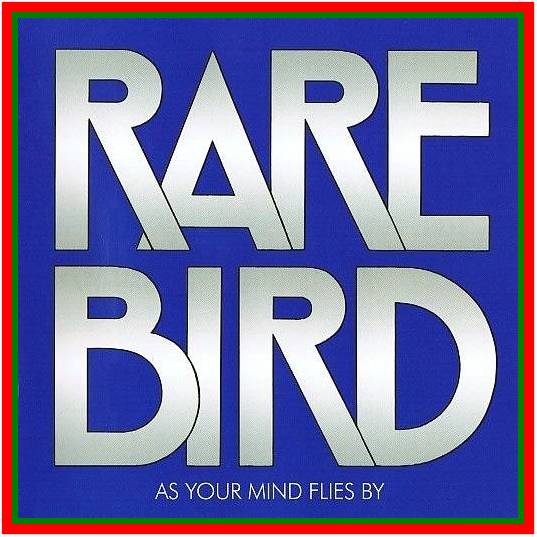 Rare Bird