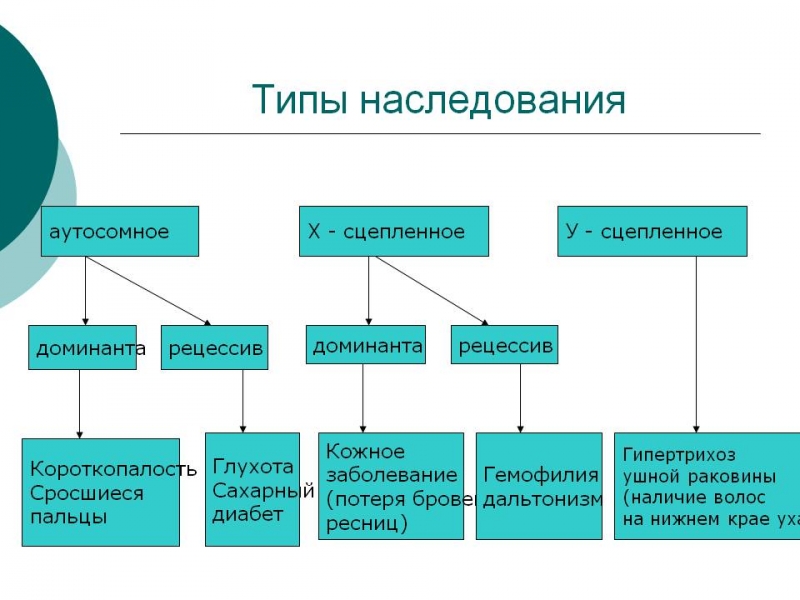 РеЦессив