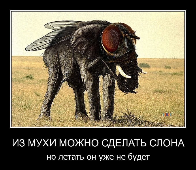 Родина слонов - 41 Золотая Орда. Вадим Трепавлов