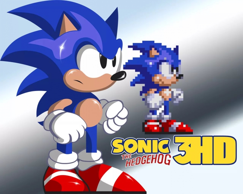 Sonic the Hedgehog 3/Sonic and Knuckles - Level