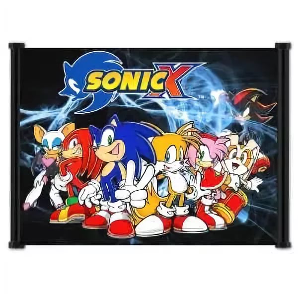 Sonic X Role