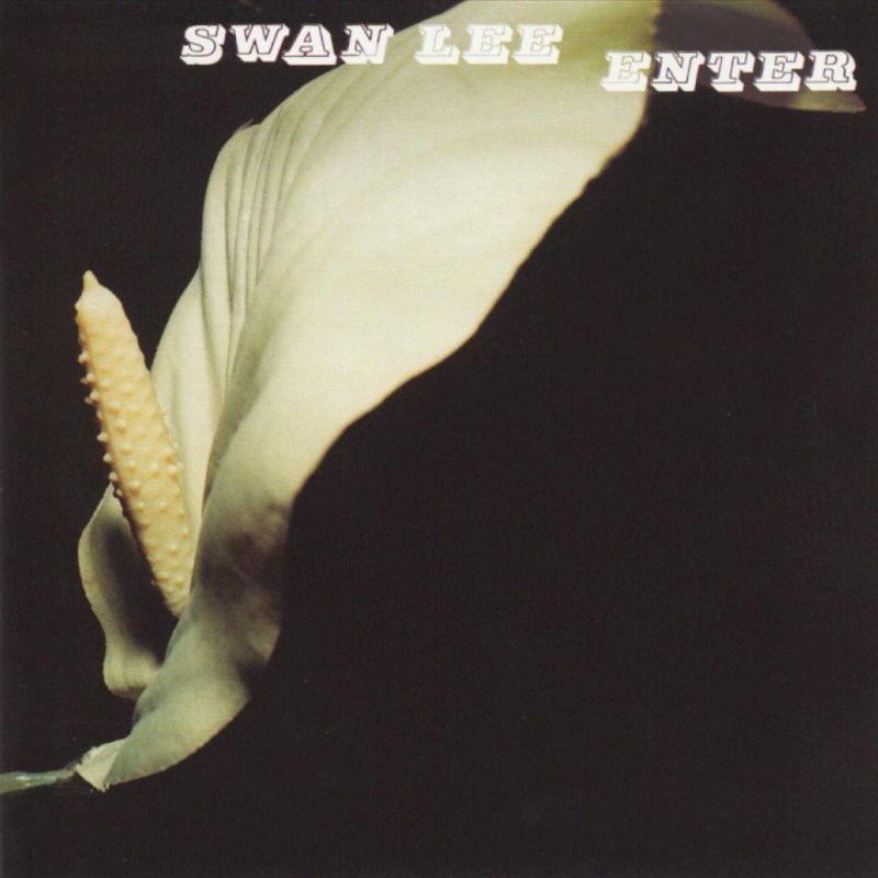 Swan Lee - Tomorrow Never Dies Хитман