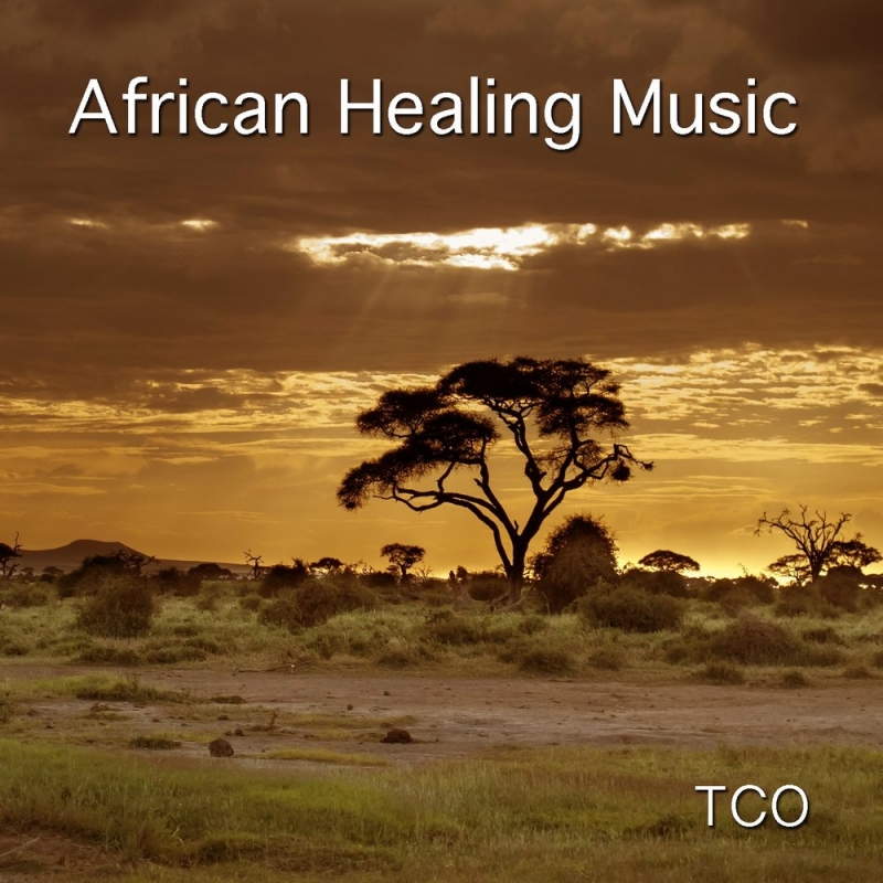 TCO - Meditation in a Forest 15 Minutes of Soothing African Music for Yoga and Meditation with Flute, Percussion and Sounds on Nature