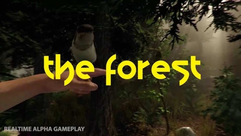 The Forest 2014 - Музыка из плеера в игре The Forest 3