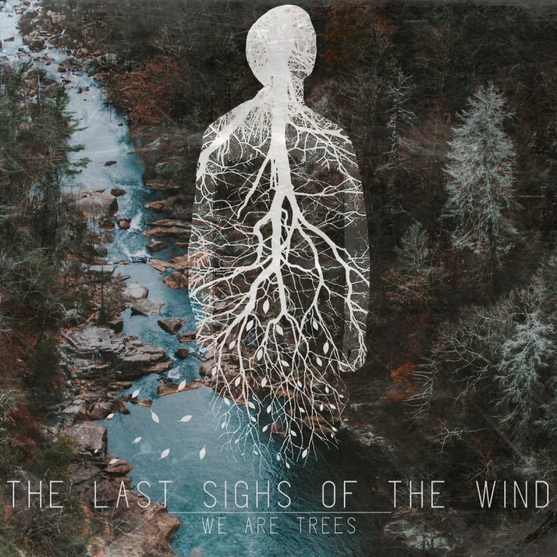 The Last Sighs Of The Wind