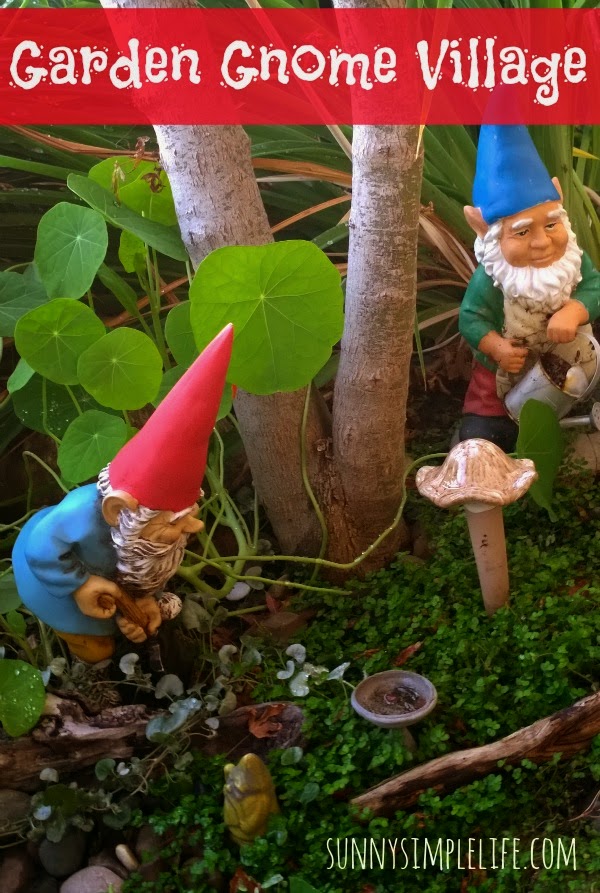 The Life of a Garden Gnome