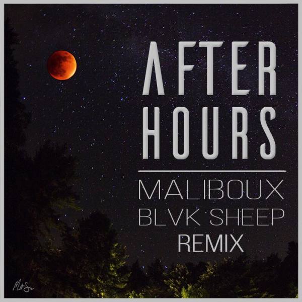 Afterhours feat. Diplo & Nina Sky B-sides Remix