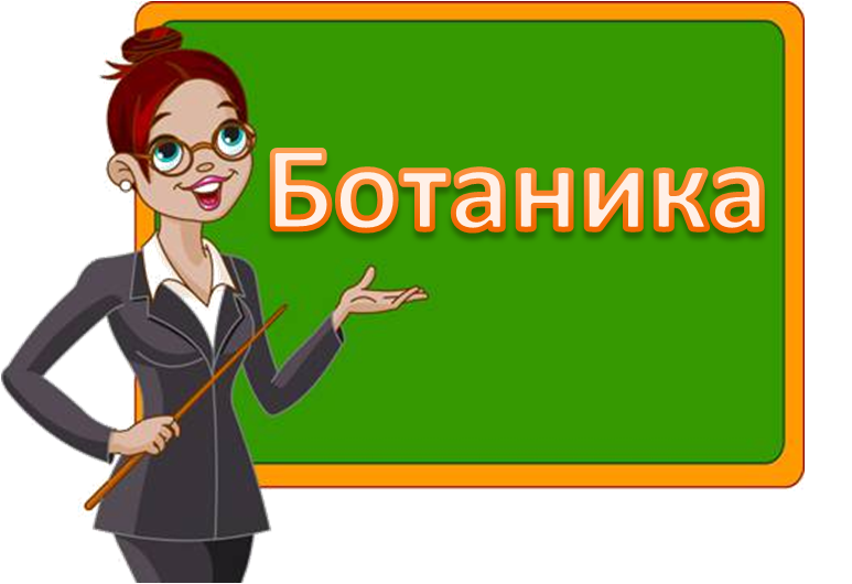 Учитель Ботаники