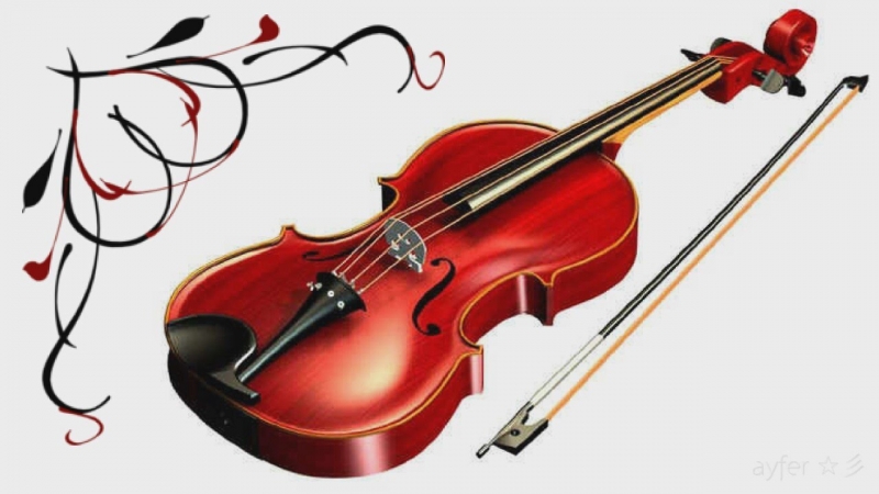 Violin