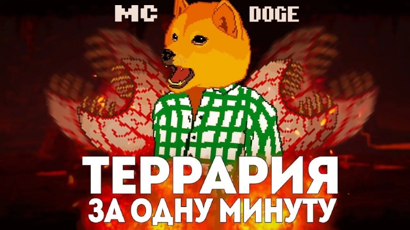 ВСЯ ТЕРРАРИЯ ЗА МИНУТУ