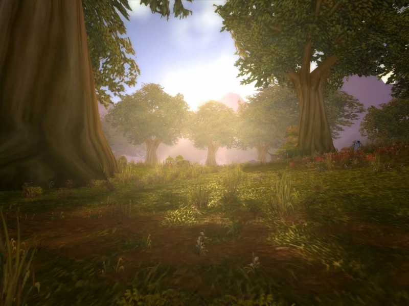 World Of Warcraft - Elwynn Forest Human Start Location XiAiX